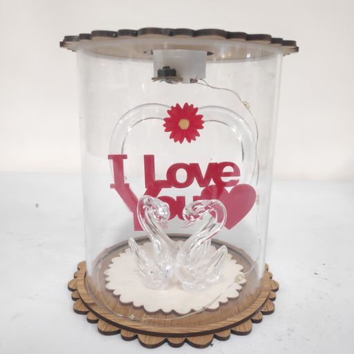 Love heart swan in glass led light