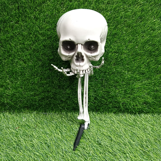 Skull on hand
