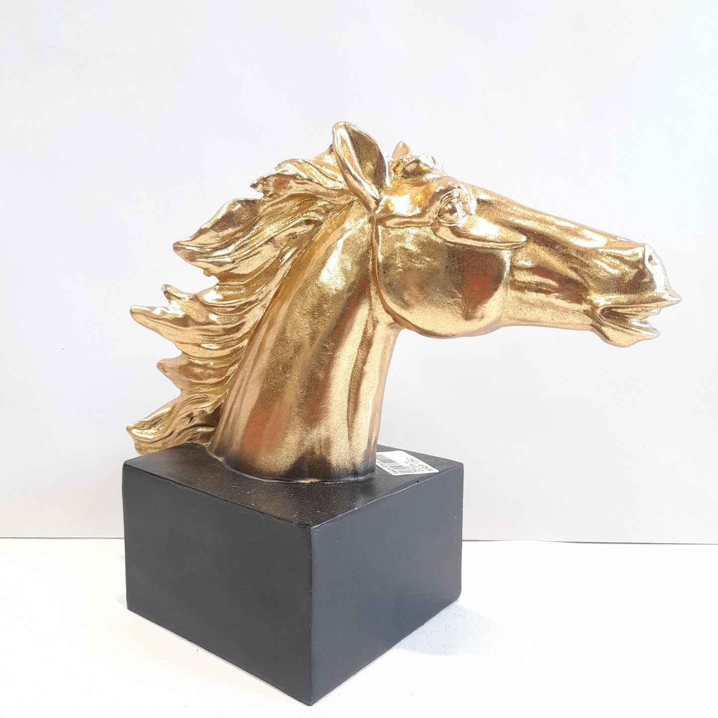 Golden Horse Face