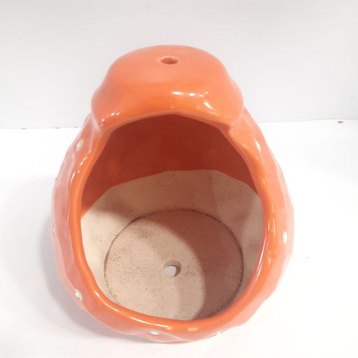 Ceramic pots