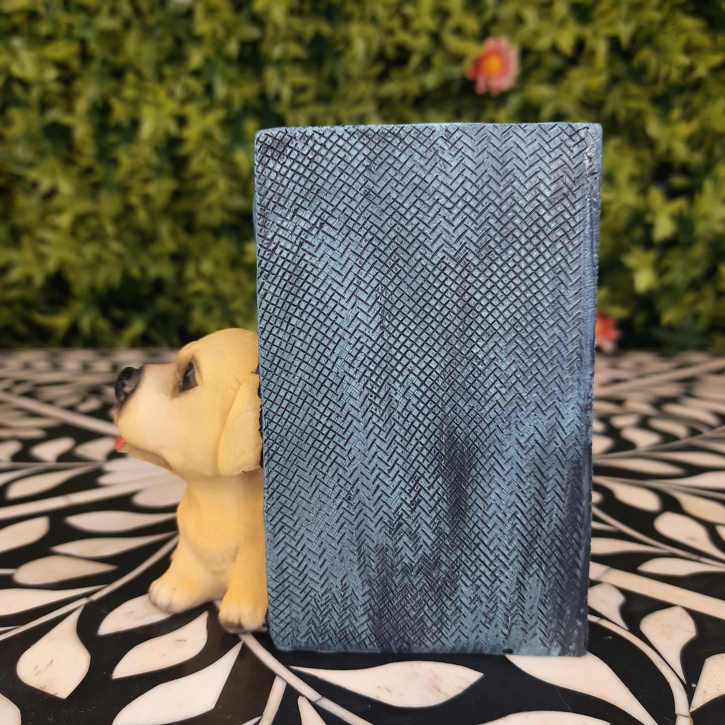 Puppy pen stands