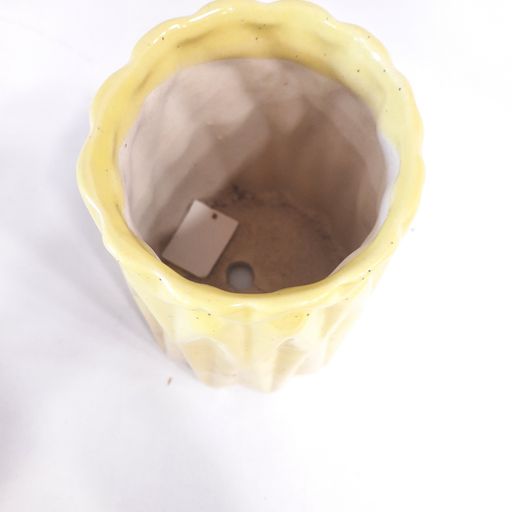 Modern Designer Ceramic Planter, Decorative Ceramic Flower Pot for Indoor and Outdoor