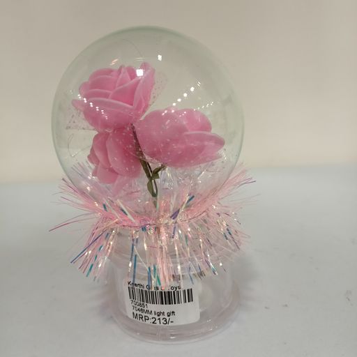 Couple light gift
