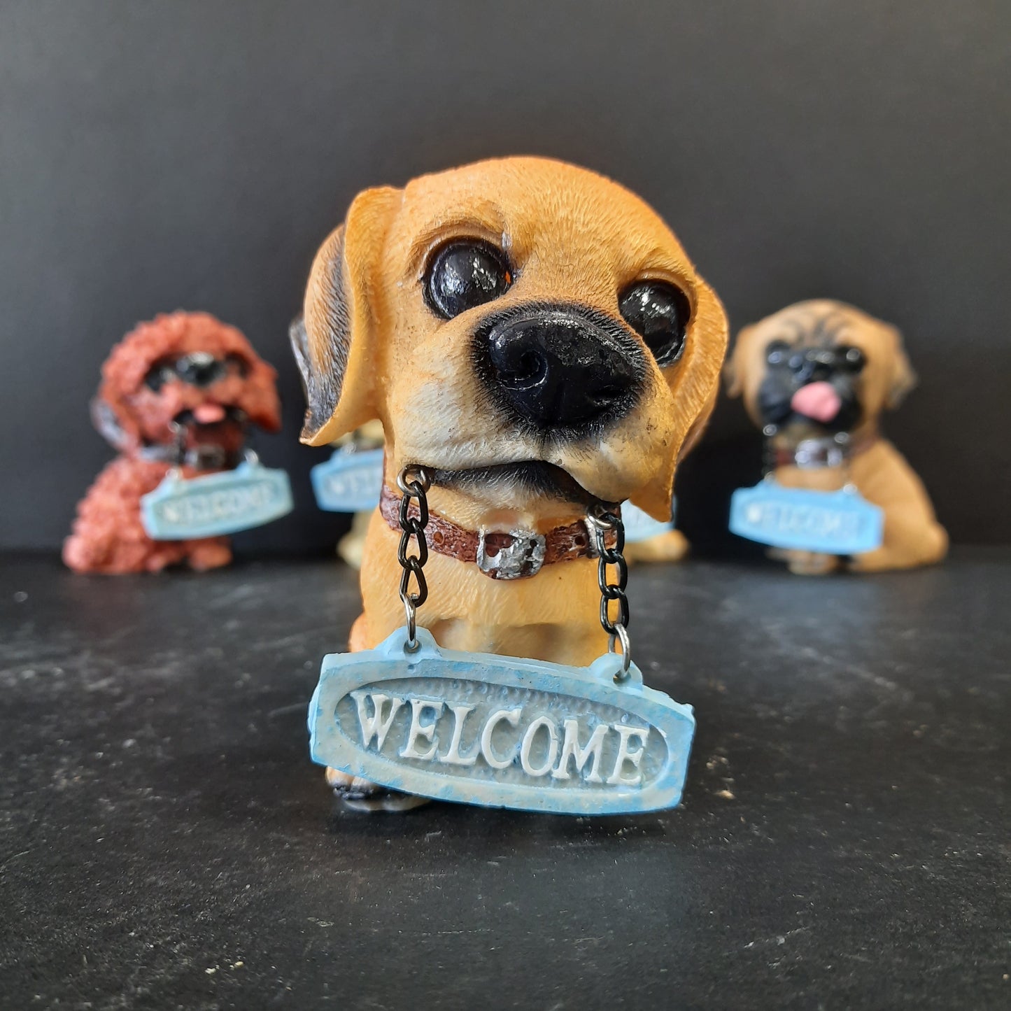 Welcome puppy show piece
