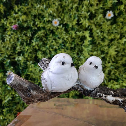 Birds family