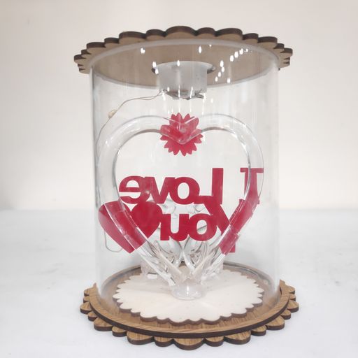Love heart swan in glass led light
