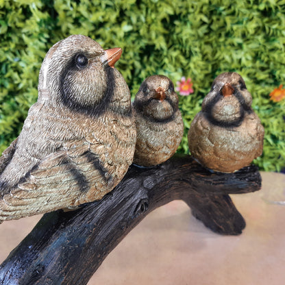 Birds family