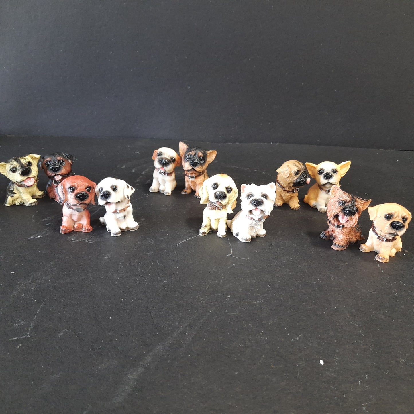 12 piece puppy set