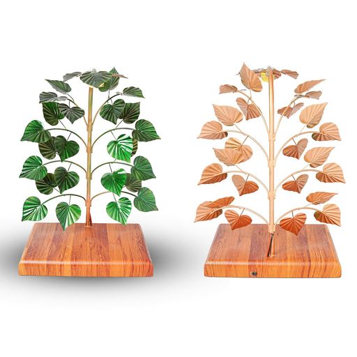 TR-B-TREE