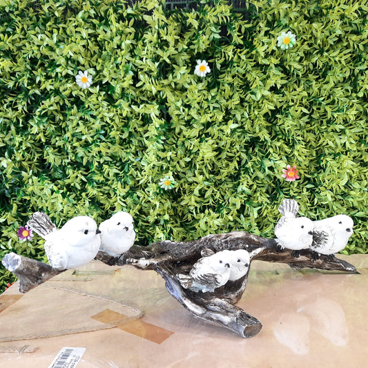 Birds family