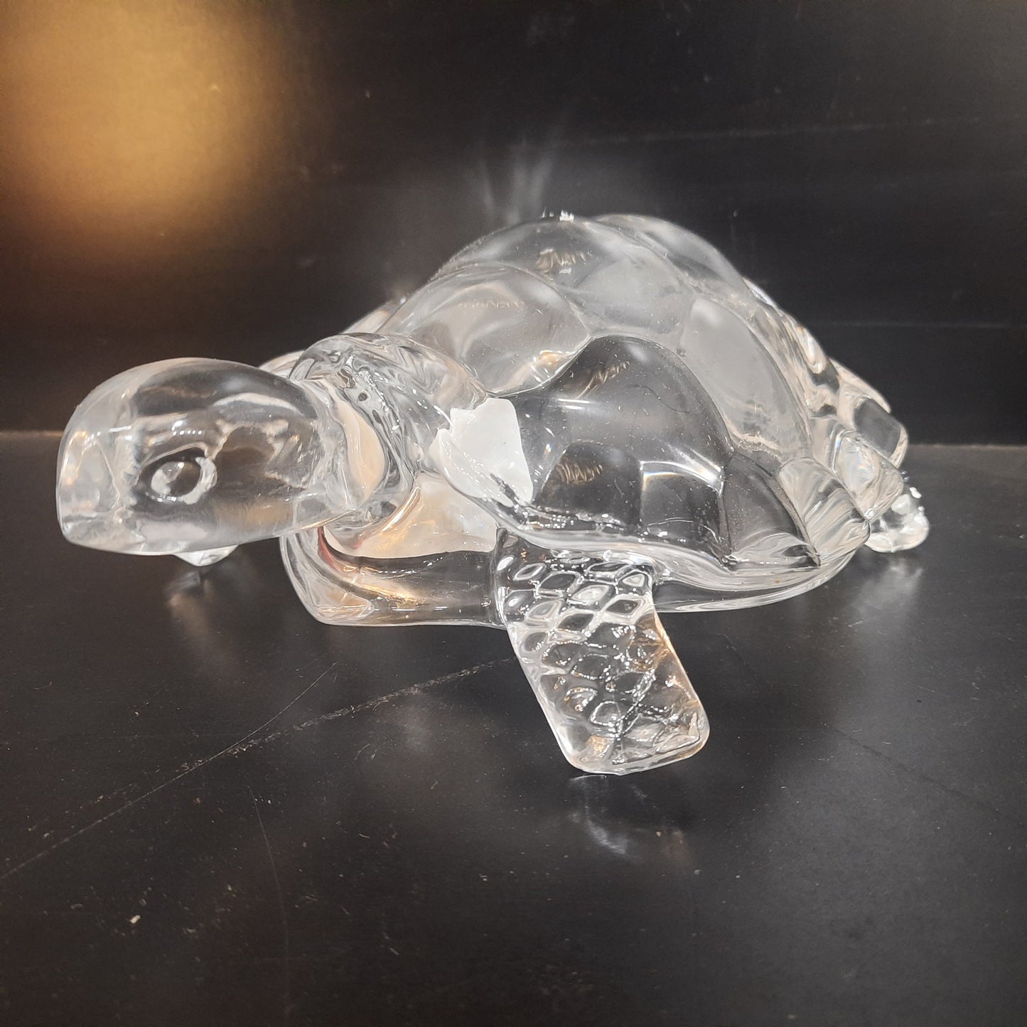 Glass Turtle
