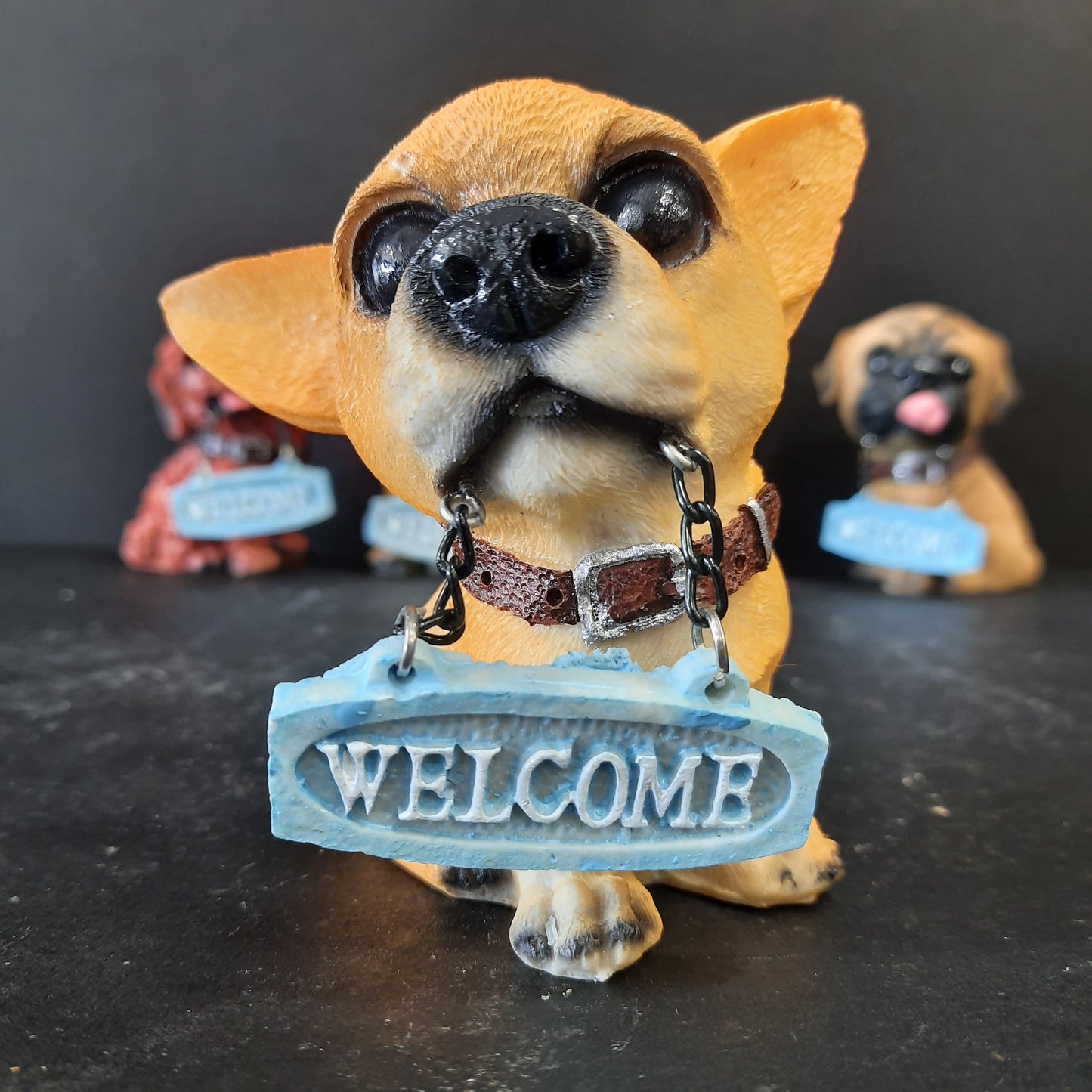 Welcome puppy show piece