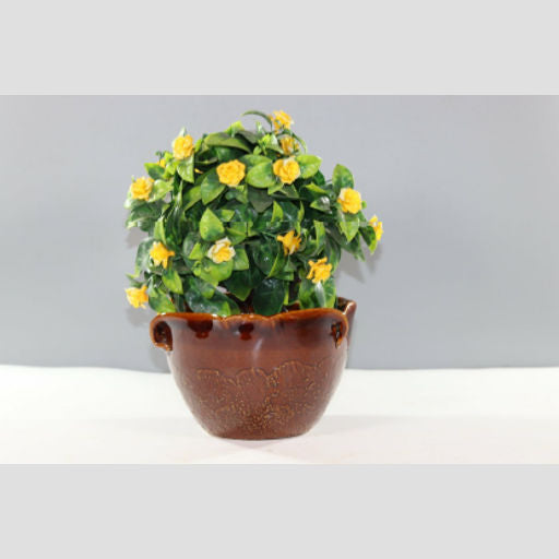 Ceramic pots
