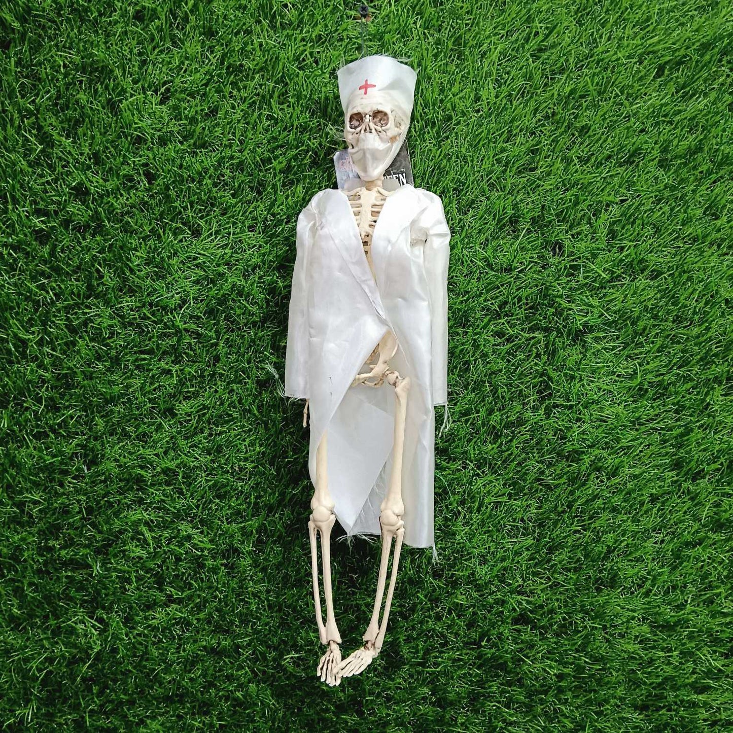 Medico Skeleton 16 inch For halloween