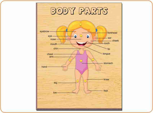 Wooden Puzzles Toddlers Parts of Human Body Puzzles with Knobs Educational Puzzle Learning Aid for Boys and Girls Kids Students Brain Development And Learning sets