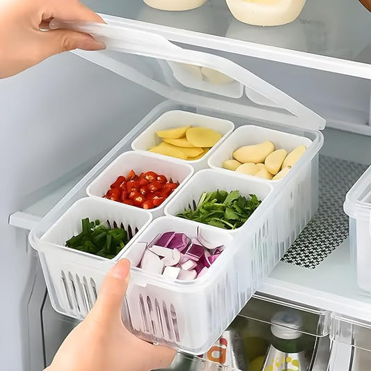 AR CLASSY FREEZE 6 PORTIONS CONTAINER