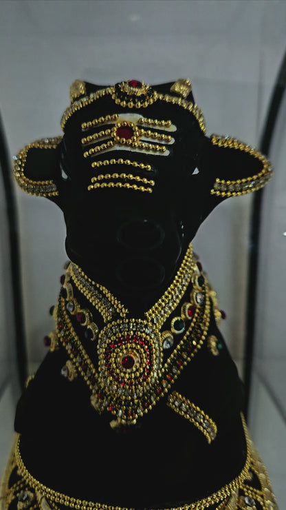 24 carats gold Plated Nandi statue idol Decorated with attractive stones in a transparent protective cabin