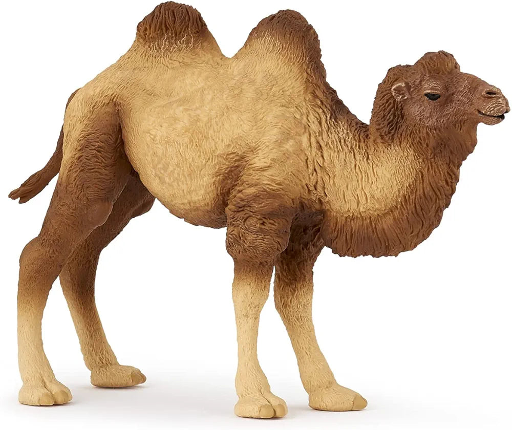 Animal model the best welcome gifts for the children