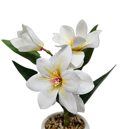 Artificial white magnolia flower stems with Ceramic pot used for home & Office decoration