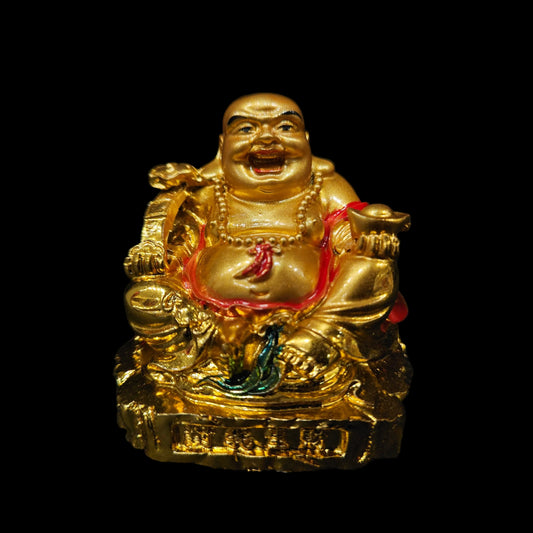 Laughing Buddha with Wealth for Money Success