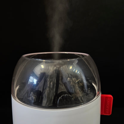 H20 Humidifier for Room Moisture|Ultrasonic Essential Oil Aroma Diffuser for Home