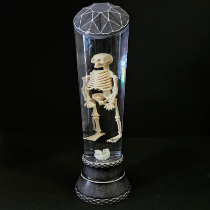 Halloween themed night Lamp with colourful romantic lights with USB cable chargeable & battery support Lamp