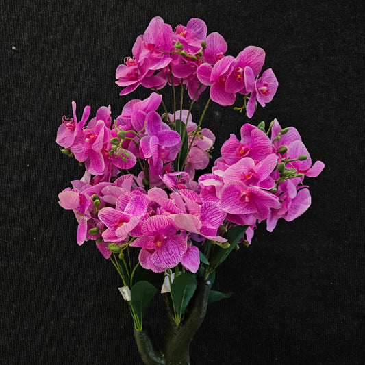 Phalaenopsis orchid Artificial plant to bring attractive elegant look to your Garden,Home & Office