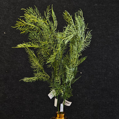 Artificial Dill banquet stick to bring attractive elegant look to your Garden