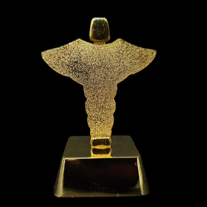 Cadaceus designed paper weight stand for gifting to Doctors,Medical students,Clinics,Hospital events