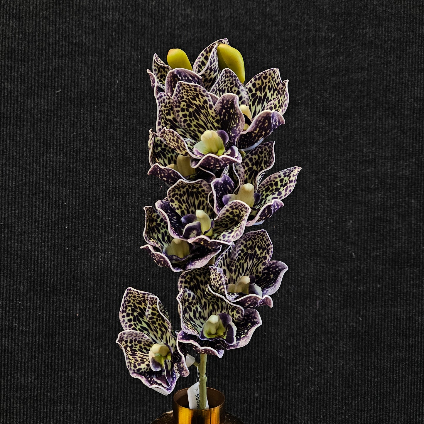 Cymbidium orchid Artificial Banquet floweral stick to bring attractive elegant look to your Home,Garden & Office