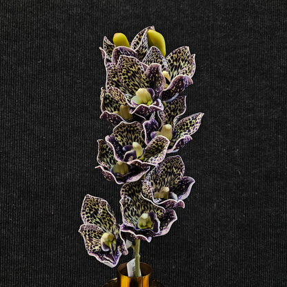 Cymbidium orchid Artificial Banquet floweral stick to bring attractive elegant look to your Home,Garden & Office