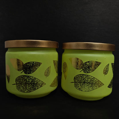 Shelly glassware Pistachio 2 piece set glass storage containers with Leaves Design and lid