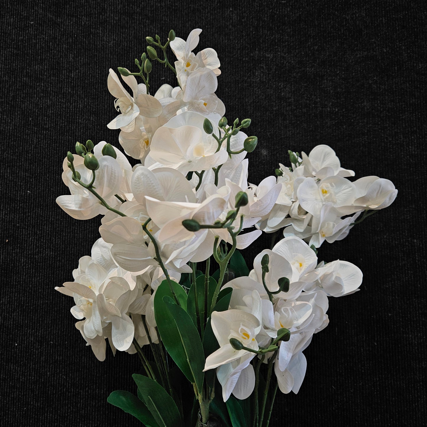 Phalaenopsis orchid Artificial plant to bring attractive elegant look to your Garden,Home & Office