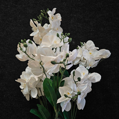 Phalaenopsis orchid Artificial plant to bring attractive elegant look to your Garden,Home & Office
