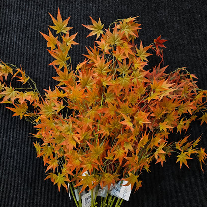 Acer palmatum banquet artificial stick to bring attractive elegant look to your home & Office