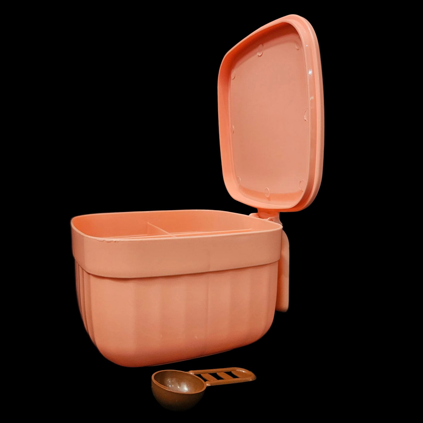 Daisy Dry Fruit Box with 4 portions Dry Fruit storage container