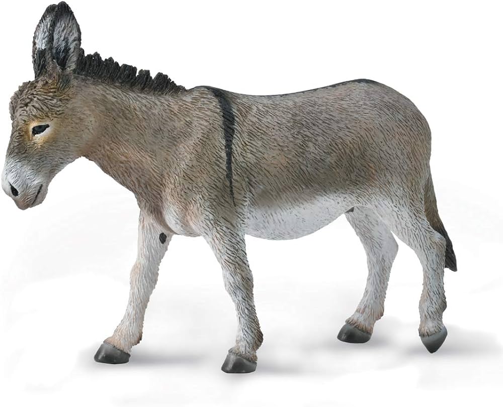 Animal model the best welcome gifts for the children