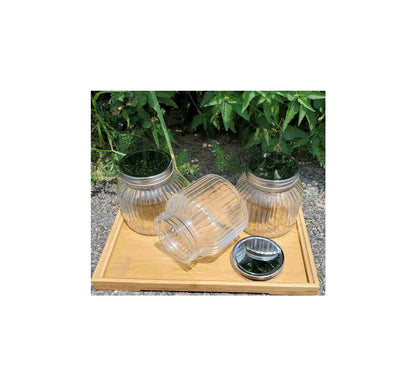 Pure Source India Glass Grocery Container Canister set 3 pieces glass Storage jar