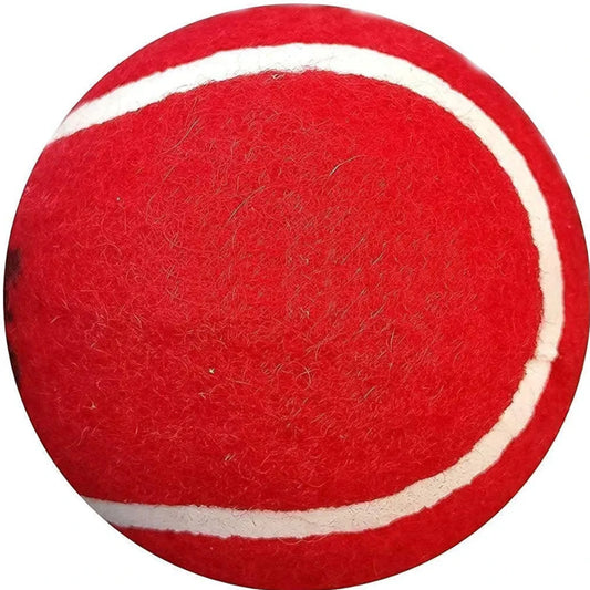 Solid core Tuff Cricket ball for kids