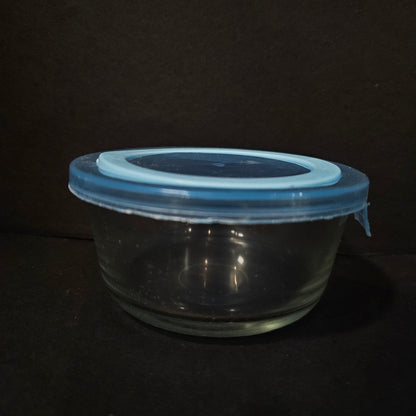 Shelly Glassware Nano glass storage bowl with lid