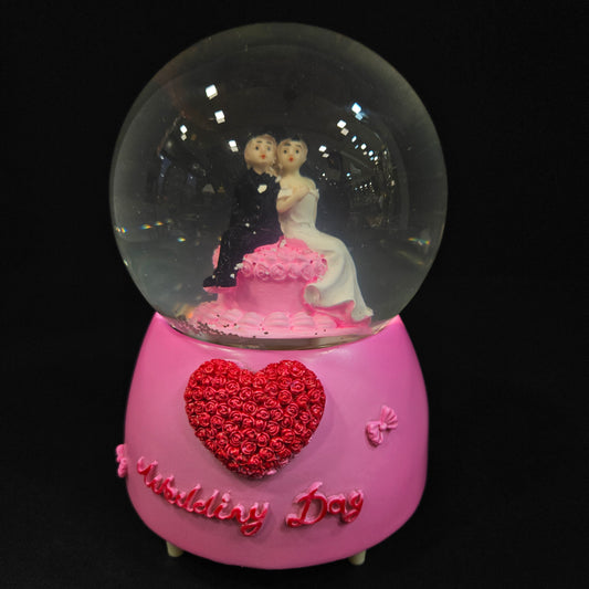 Cute Good looking married couple in a glass dom with Music & multi colour lighting snow Globe