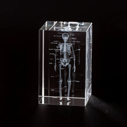 3D Human Skeleton Crystal Model, Laser Etched Anatomical Model for Home and Office Decoration, Osteologists Gifts