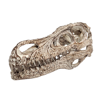 Highly detailed Velociraptor skull model made from weathered resin Showpiece Figurine