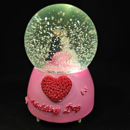 Cute Good looking married couple in a glass dom with Music & multi colour lighting snow Globe