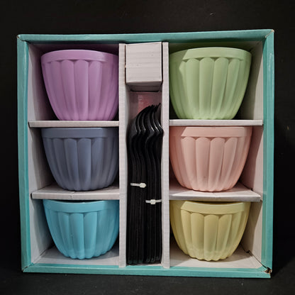 Dessert Fun 6pcs set Dessert/Ice-cream Bowls with Spoon for Return gifting