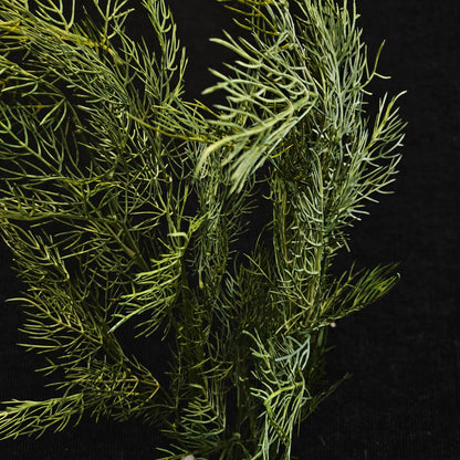 Artificial Dill banquet stick to bring attractive elegant look to your Garden
