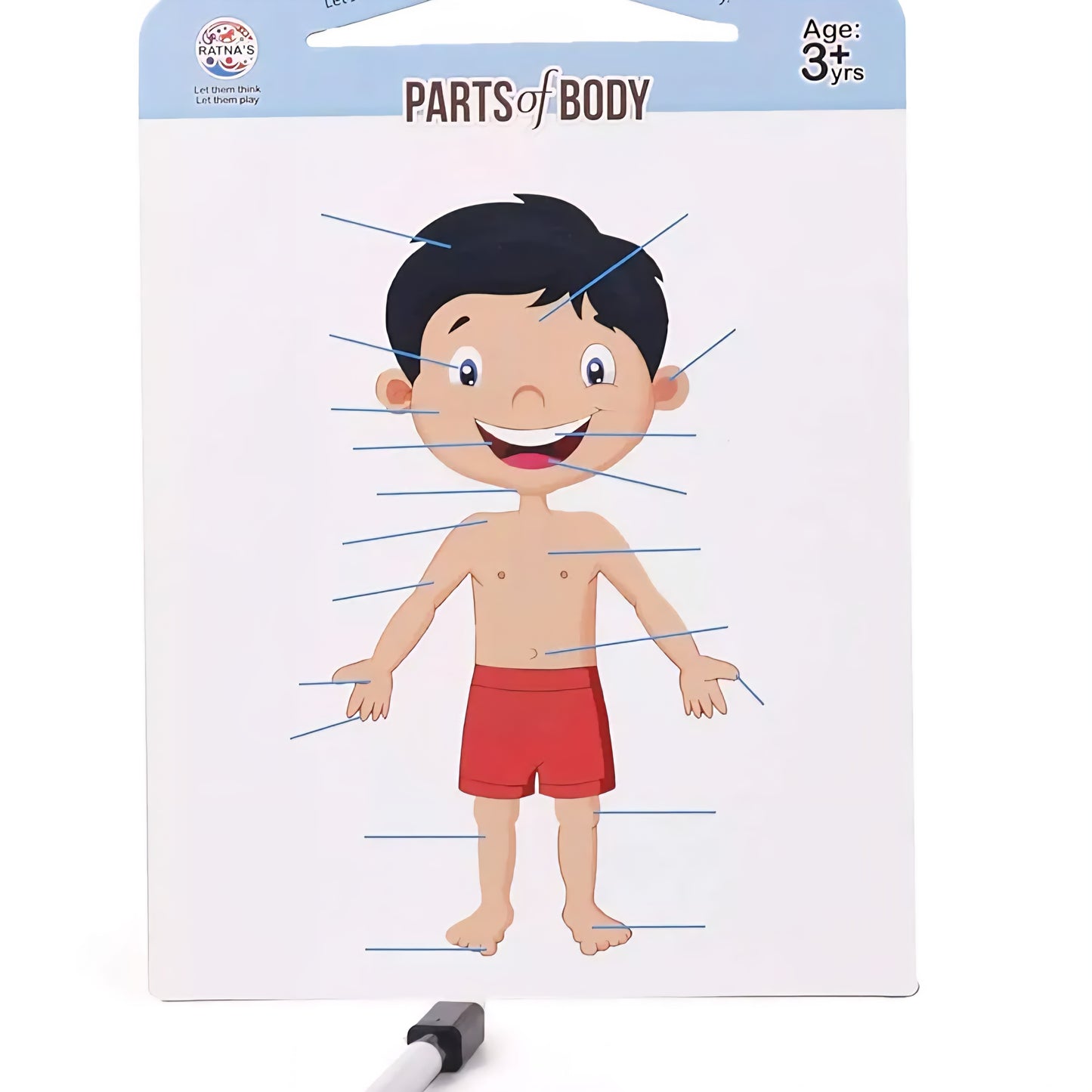 RATNA'S Parts of Body Jigsaw Puzzle for Kids with 2 in 1 Write and Wipe Board with Body Parts