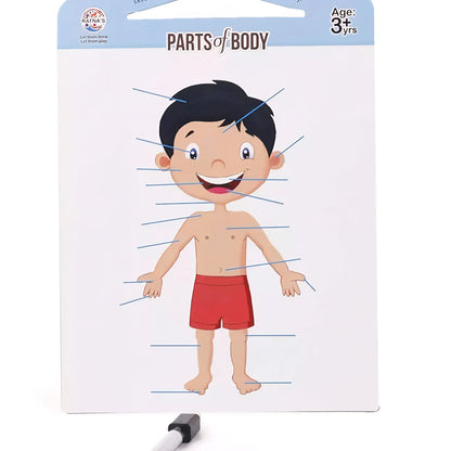 RATNA'S Parts of Body Jigsaw Puzzle for Kids with 2 in 1 Write and Wipe Board with Body Parts
